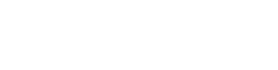 Palmpay logo